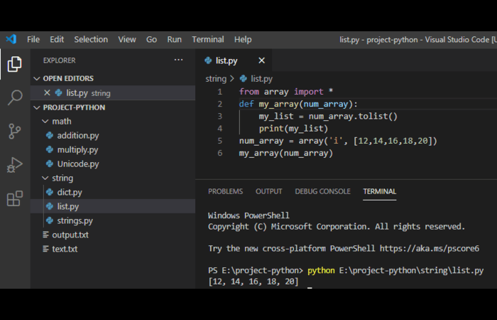Python convert array to list