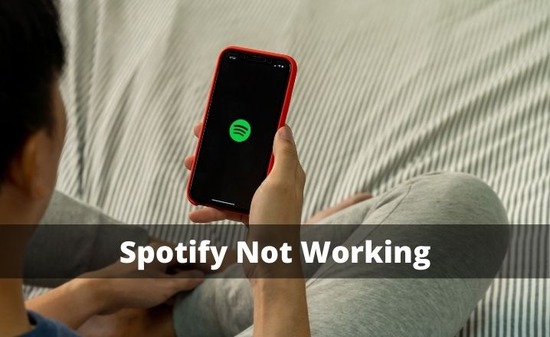 Spotify Not Working