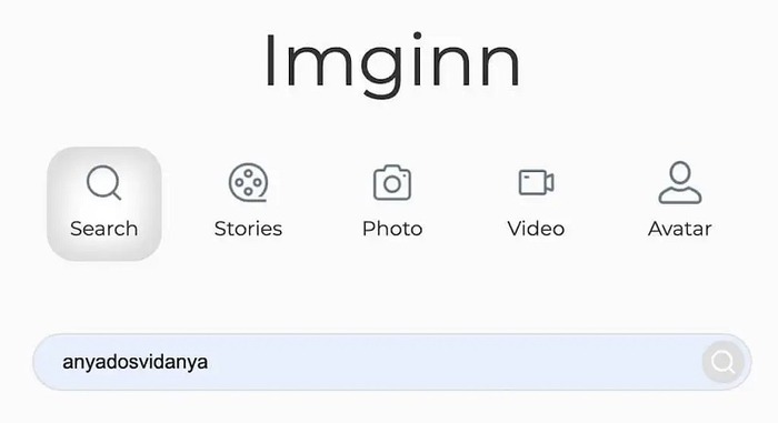 Use Imginn to search Instagram without an account