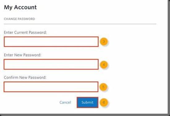 When Does the How to Change Your Password on Musical.ly
