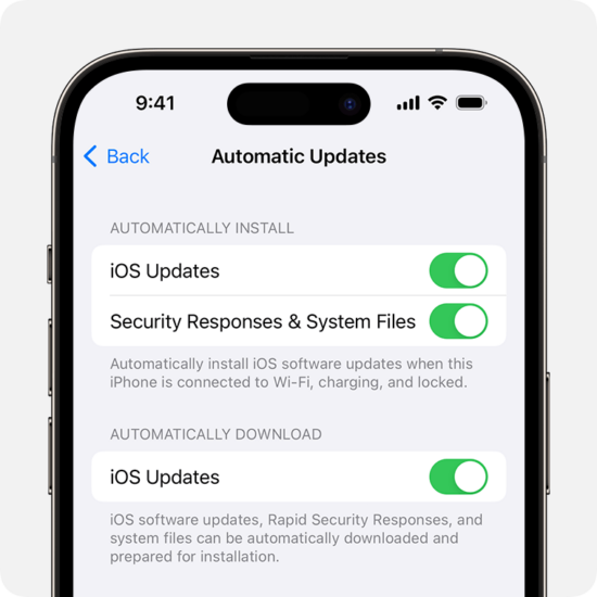 SOLUTION 3: Update iOS Software