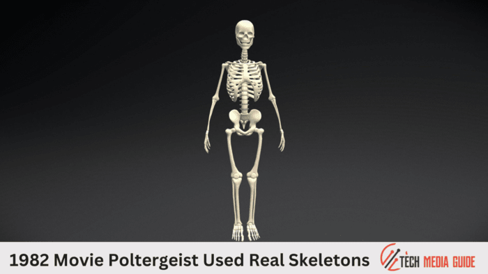 1982 Movie Poltergeist Used Real Skeletons